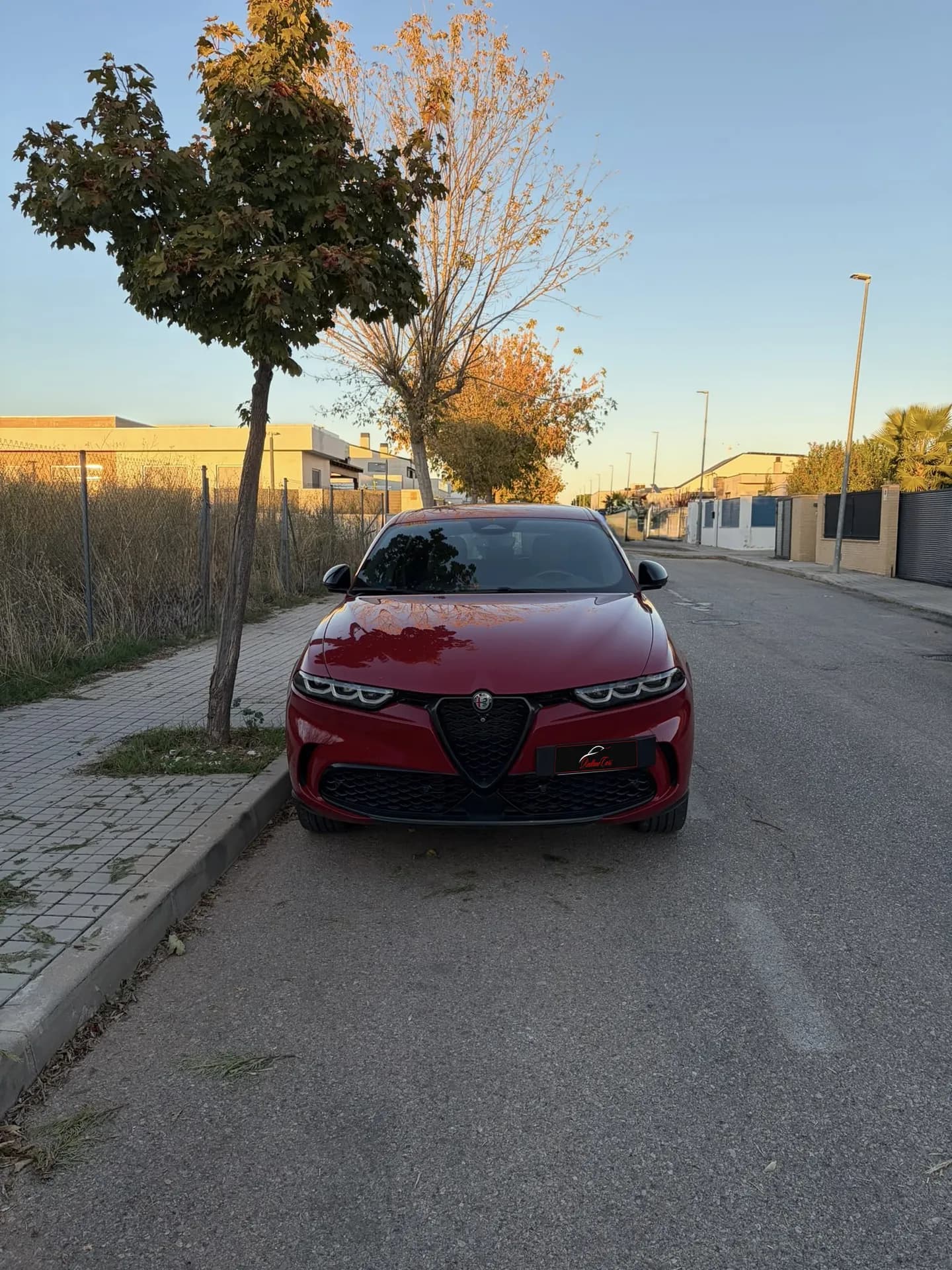 Alfa Romeo Tonale 1.3 Multiair PHEV Veloce Q4 foto 2