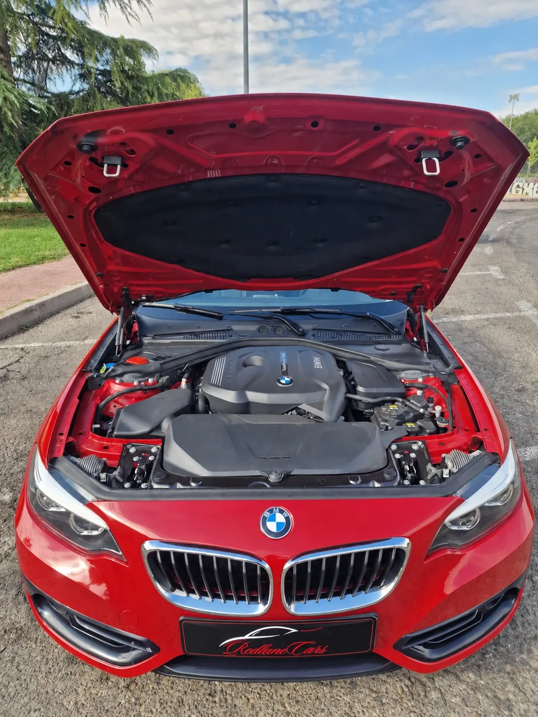 BMW Serie 2 230i foto 19